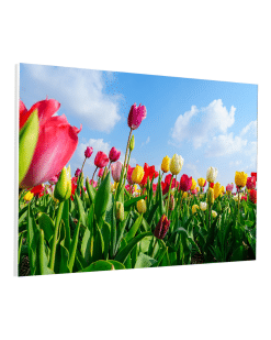 Linea Gemini - Schermi a cornice Full Vision